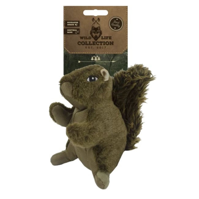 Wild Life Dog Squirrel