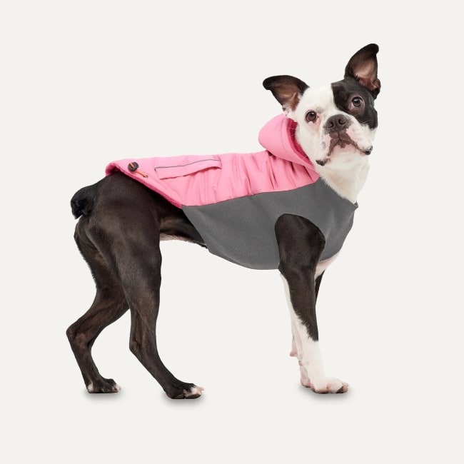 Hooded Signature Winter Jacket L Rosa/Grå