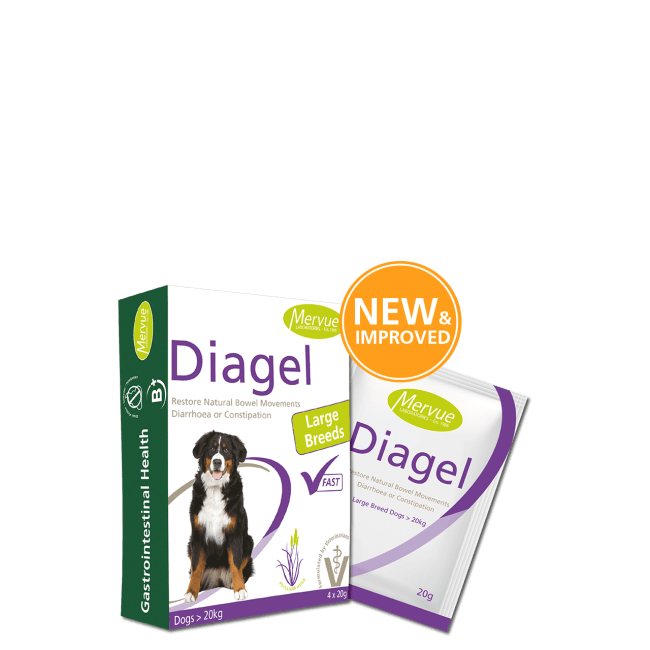 Best før jan-26 Diagel 4x20g Mot Diare Til Stor Hund