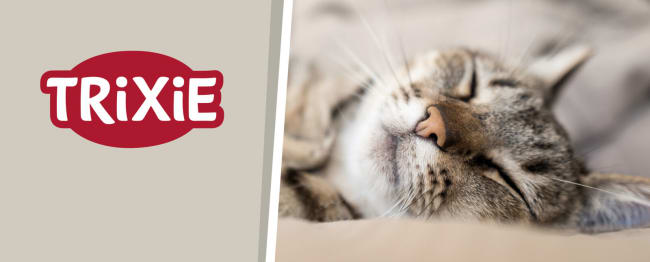 Tego Magnetplakat "Fascia" Til Tego Topp 100x40cm