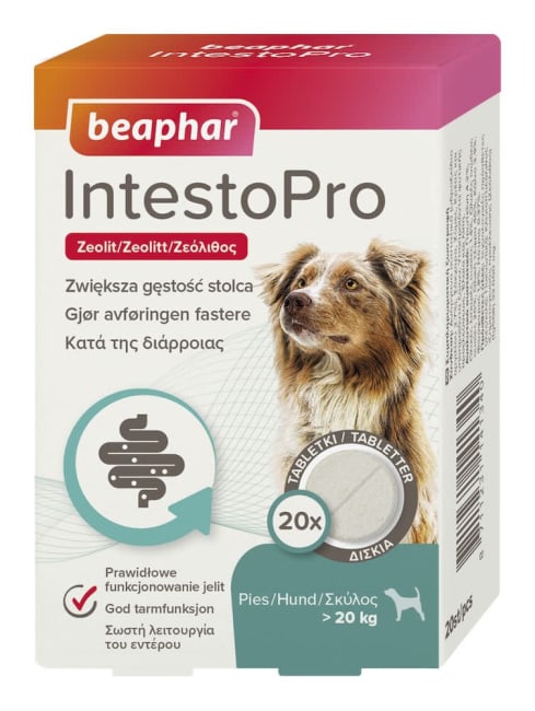 Beaphar IntestoPro tabletter 20kg > 20tab