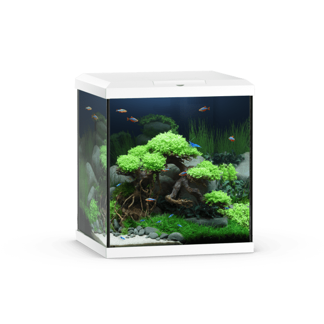 Akv. Juwel Vio Cube 54 Hvit LED Lys 54L