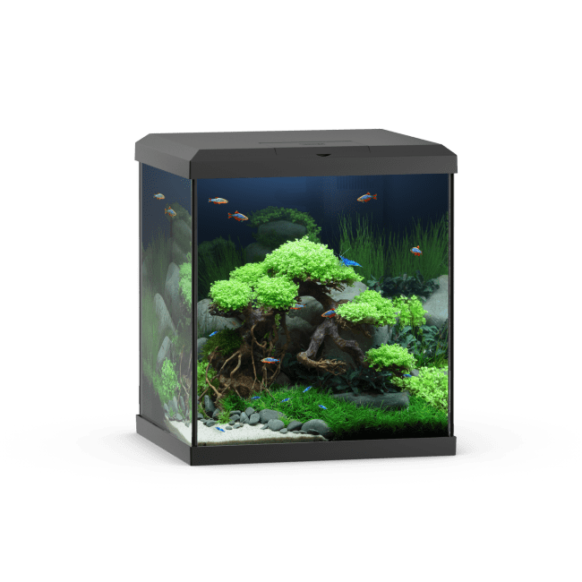 Akv. Juwel Vio Cube 54 Sort LED Lys 54L