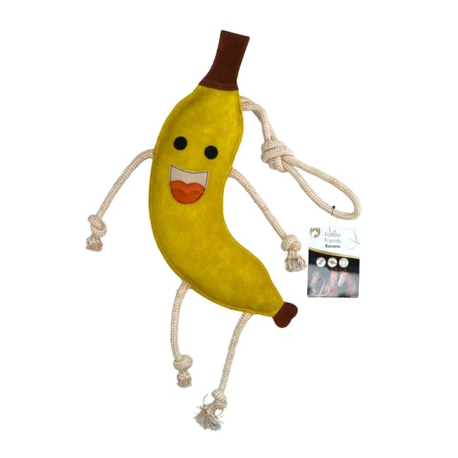 Excellent Horse Foodie Friends Banana