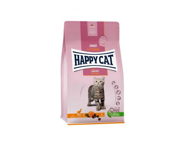 Tørrfôr Kitten/Junior