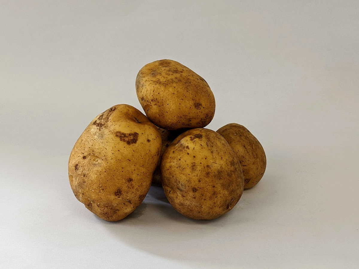 Satina Potato – Nichols Garden Nursery