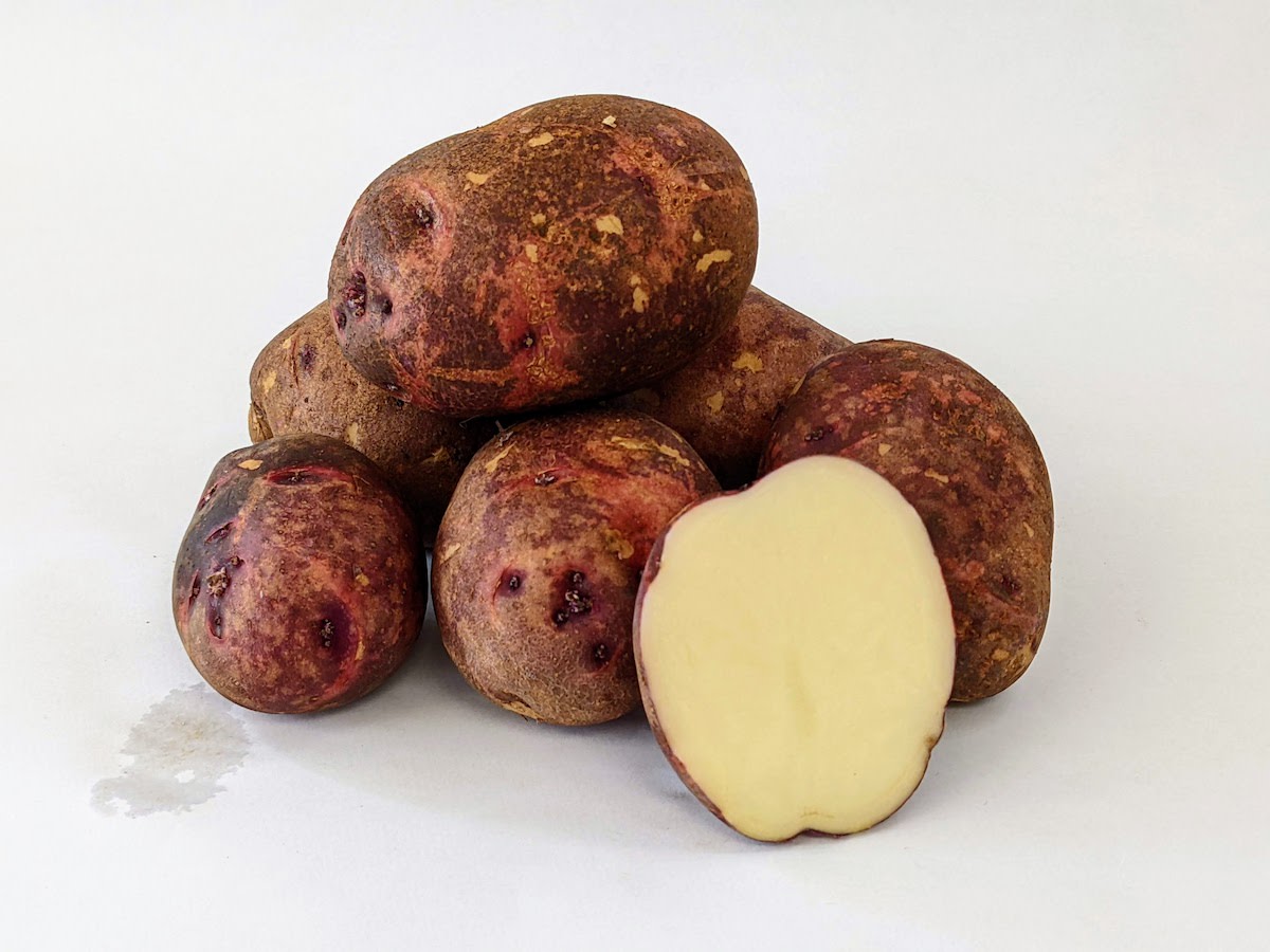 Scalloped Potatoes • Favorite Potato Recipe {Video} • Two Purple Figs