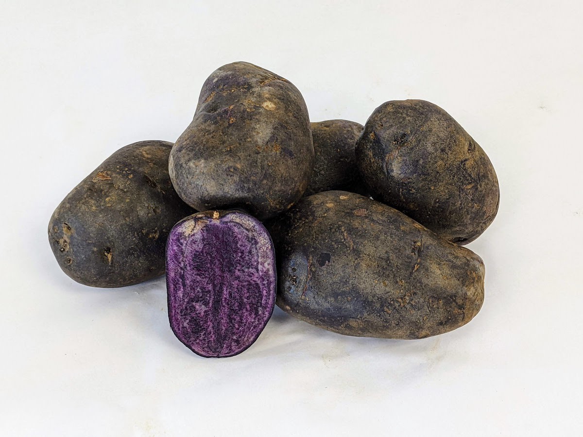 Potato, Purple Majesty