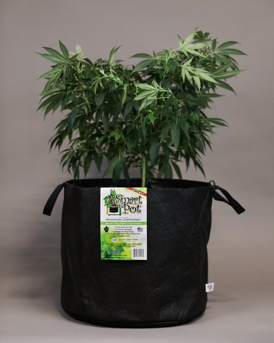 Fabric Pots 20 gal - Organic Growers Supply