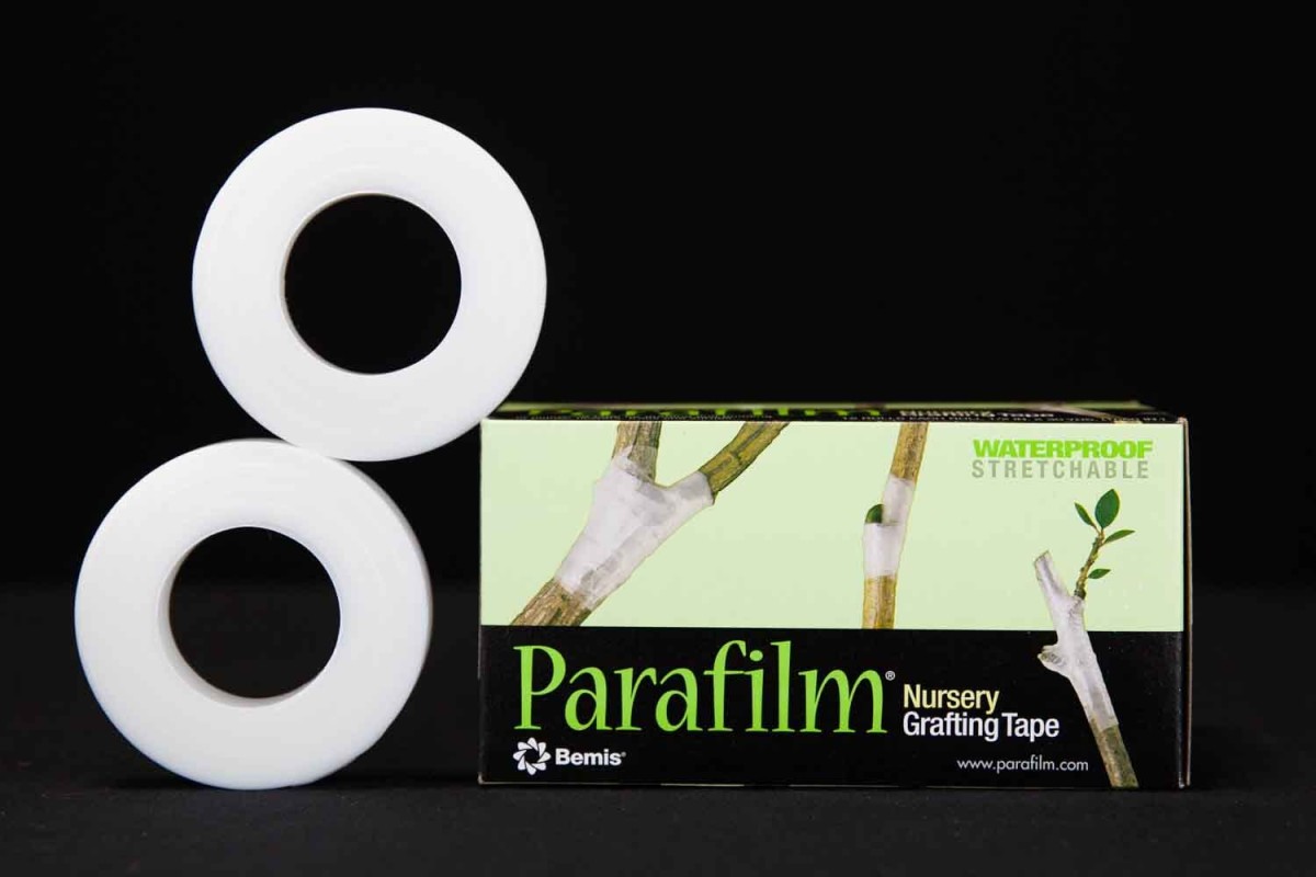 Parafilm® Grafting & Budding Tape 1 - Organic Growers Supply
