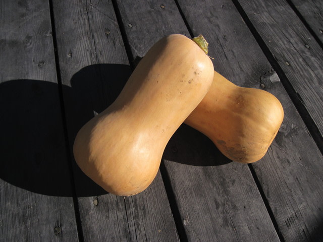 Organic Butternut Squash