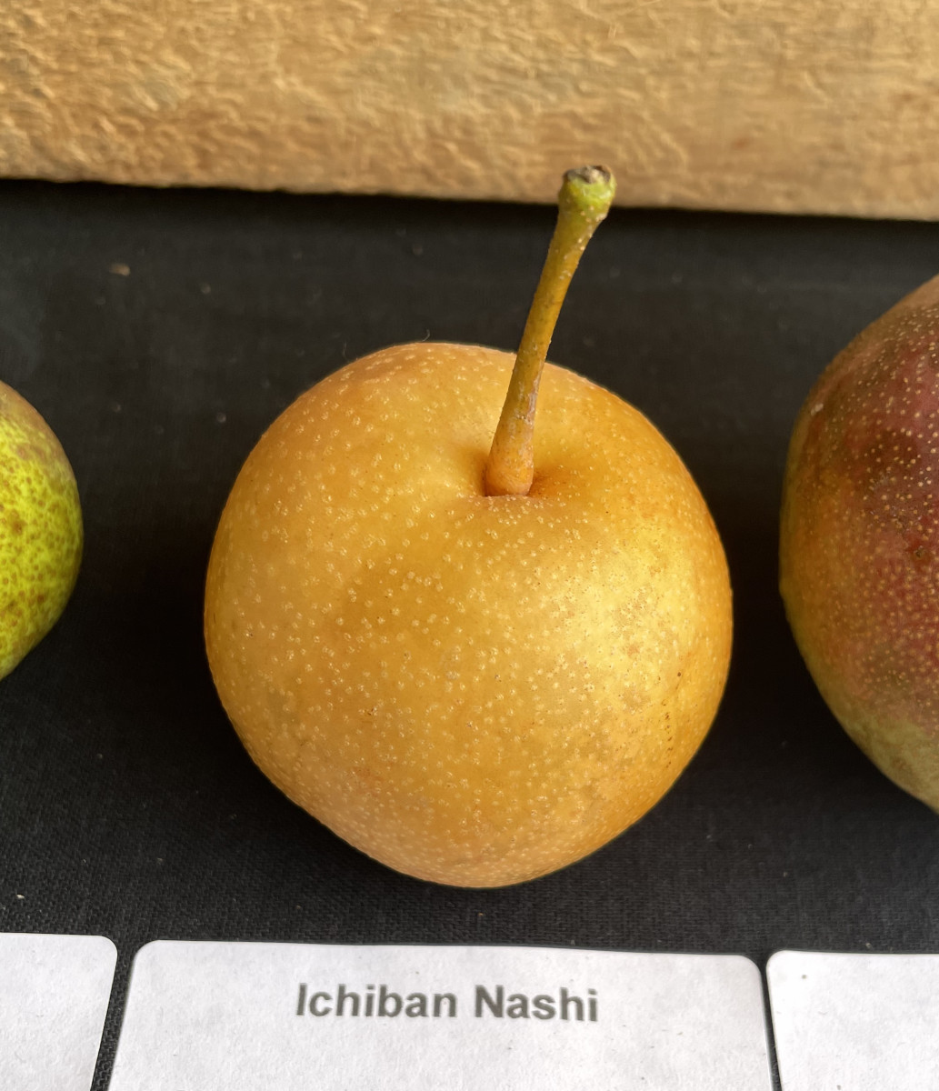 Ichiban main full-size item image