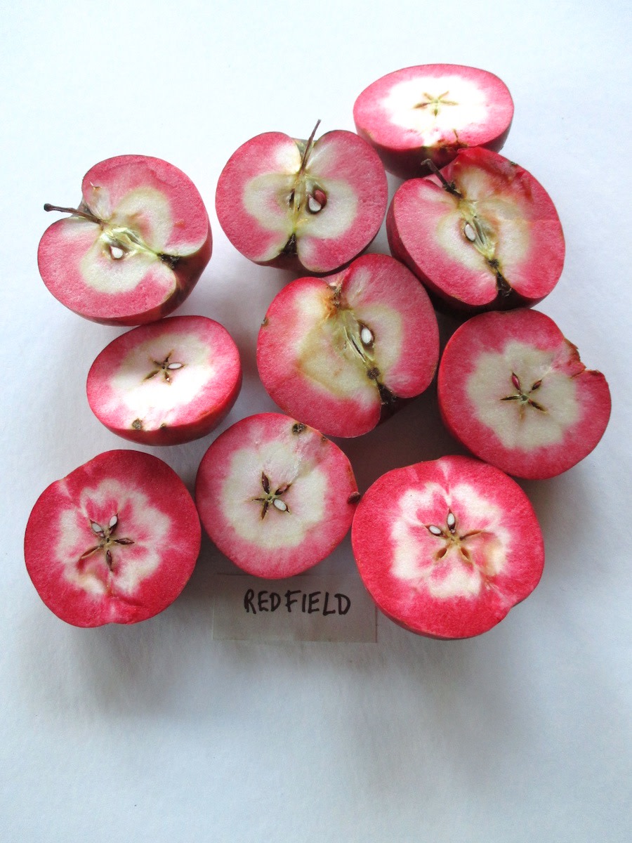 Red-fleshed apples - Good Fruit Grower