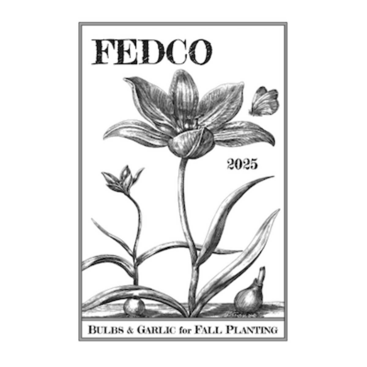 fedco bulbs catalog cover