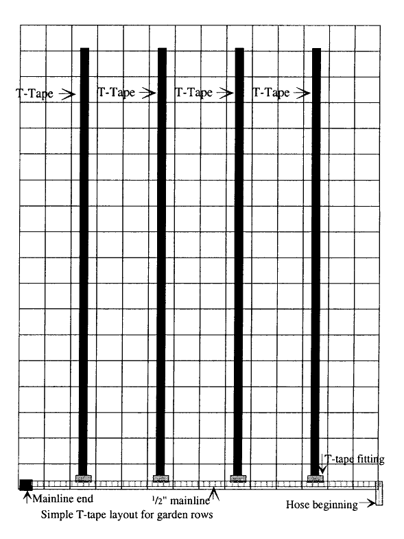 large simple drip tape layout