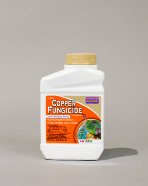 Bonide® Liquid Copper Concentrate