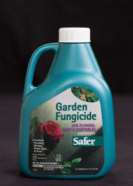 fungicide safer garden ogs