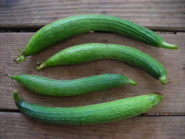 Luffa