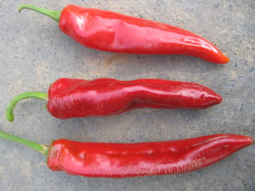 Boldog Hungarian Spice Paprika