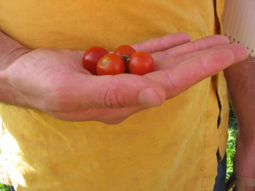 Gardener’s Delight