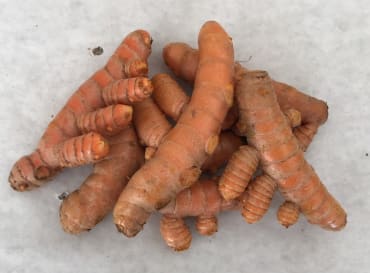 Turmeric