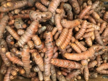 Turmeric