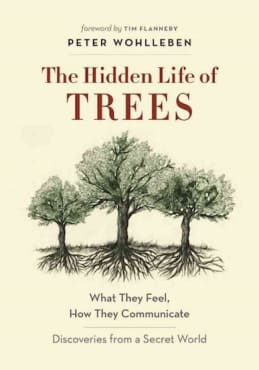 The Hidden Life of Trees: What They Feel, How They Communicate