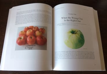 Apples and the Art of Detection: Tracking Down, Identifying and Preserving Rare Apples