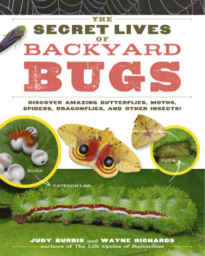 The Secret Lives of Backyard Bugs: Discover Amazing Butterflies, Moths, Spiders, Dragonflies and Other Insects!