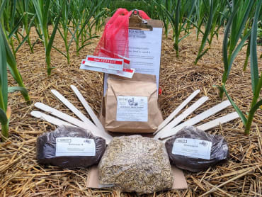 5G Grow Great Garlic Greener, Guaranteed Kit