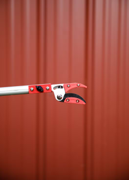 Cut & Hold Pole Pruner