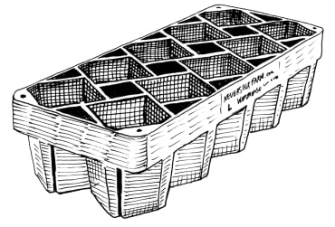 Mini Wini Large-cell Tray