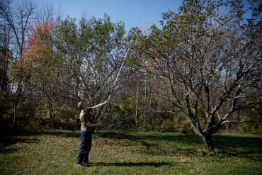 Fiskars Ergo Power Pole Pruner