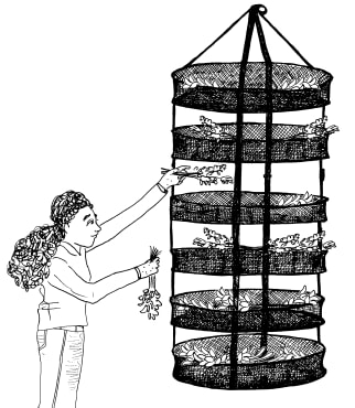 Collapsible Drying Rack