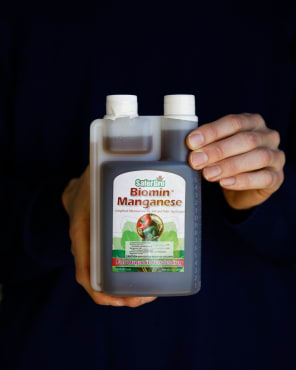 Micronutrients Liquid Manganese