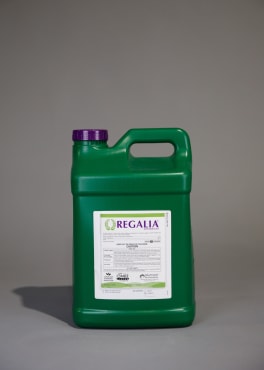 Regalia® Biofungicide