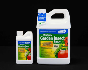 Monterey Garden Insect Spray