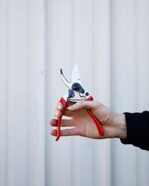 Felco® #8 Pruners