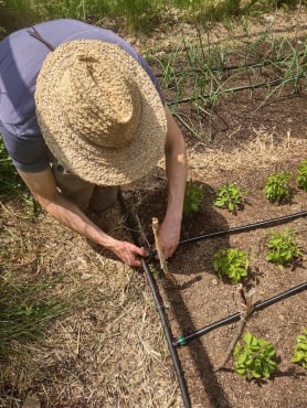 Garden Irrigation Starter Kit