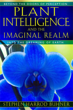 Plant Intelligence and the Imaginal Realm: Into the Dreaming of Earth