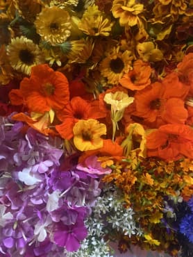 Edible Flowers Collection