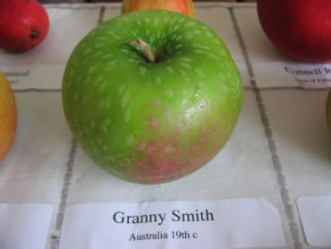 Granny Smith