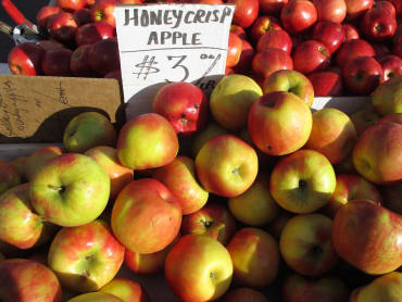 Honeycrisp