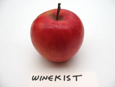 Winekist