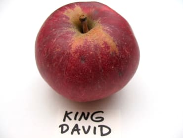 King David