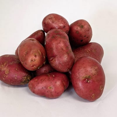 French Fingerling