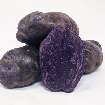 Potato Seed Potatoes - Fedco Seeds