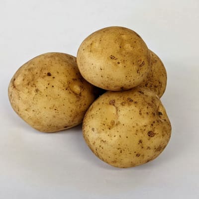 Upstate Abundance