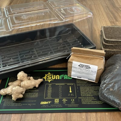 Ginger Grower Kit