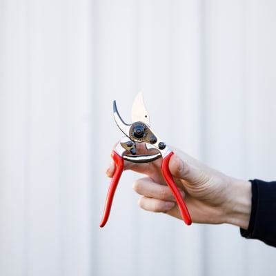 Felco® #322 Trim and Pick Snips - Fedco Bulbs